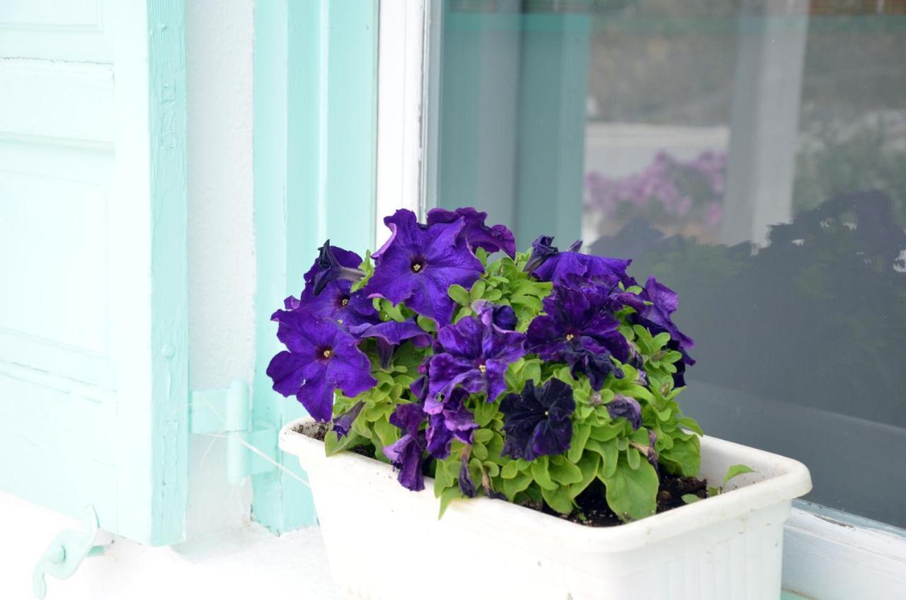 Sunny Guest House New Port Mykonos Tourlos Bagian luar foto